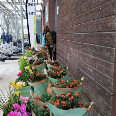 D871d513 7622 4a33 b950 d6d38f3b2a47